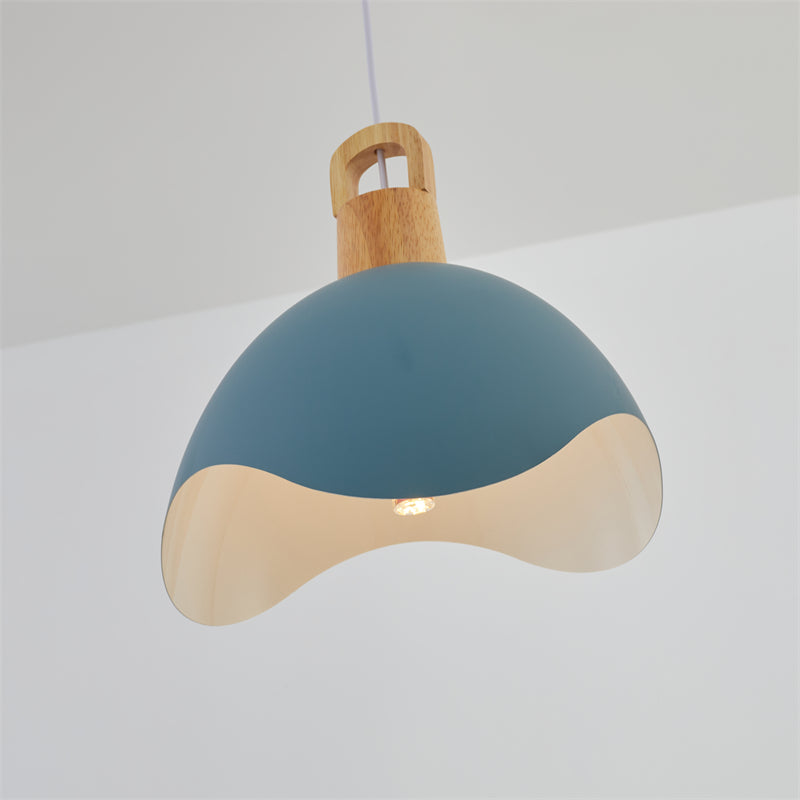 Morandi Colorful Shade Single Pendant Lights, Wood & Metal