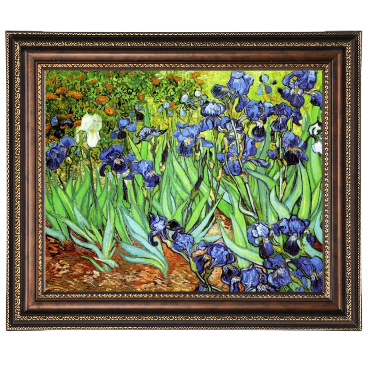 Irises II- Floral Wall Art Prints Decor For Living Room