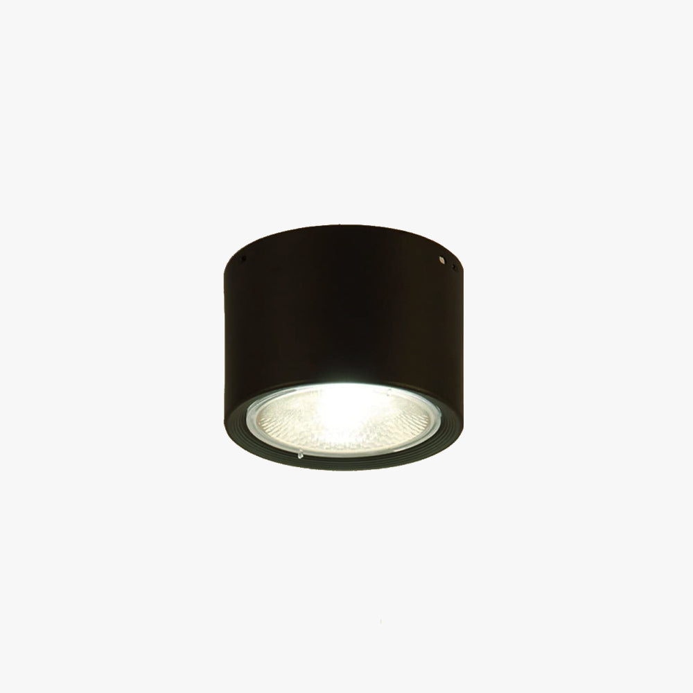 Ozawa Modern Round Flush Mount Ceiling Light, Wood/Black, Living Room