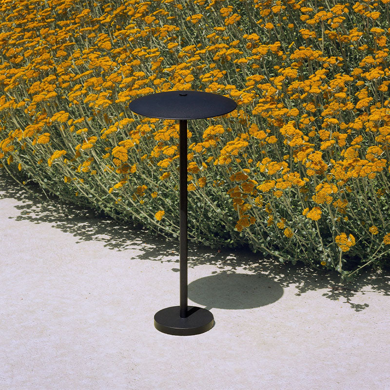 Carins Umbrella Rechargeable Metal Outdoor Floor Lamp, Black/Coffee