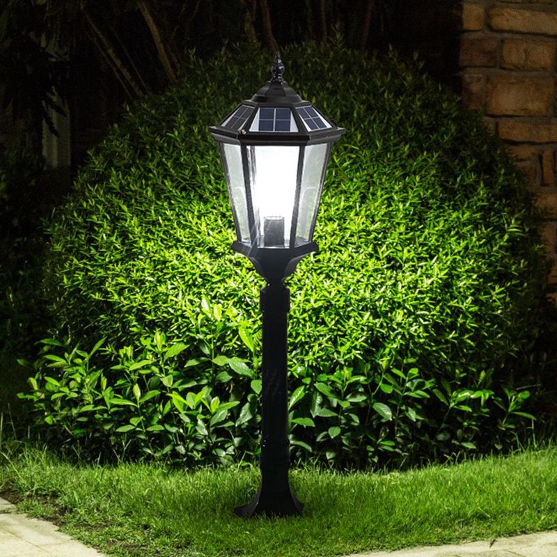 Pena Rustic Lantern Solar Outdoor Path Light, Black