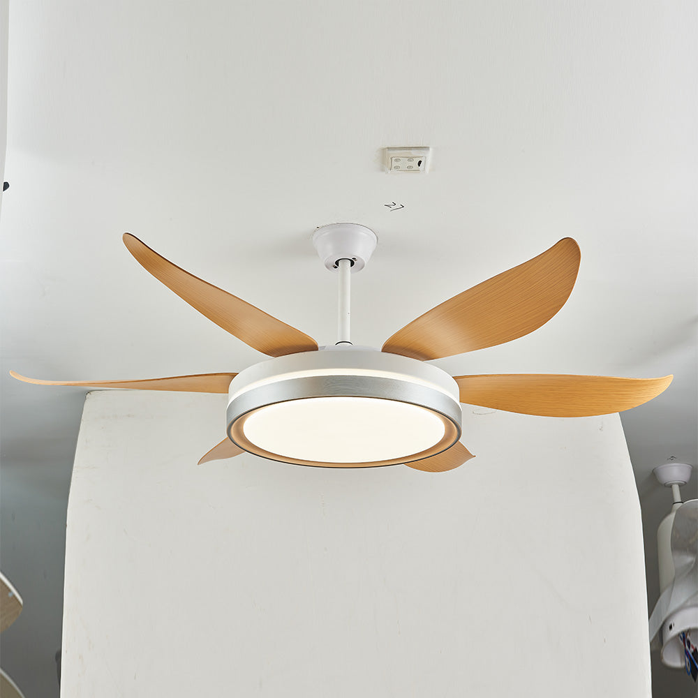 Haydn 6-Blade DC Fan with Light, Silver & Gold, Metal & Acrylic & ABS, Bedroom