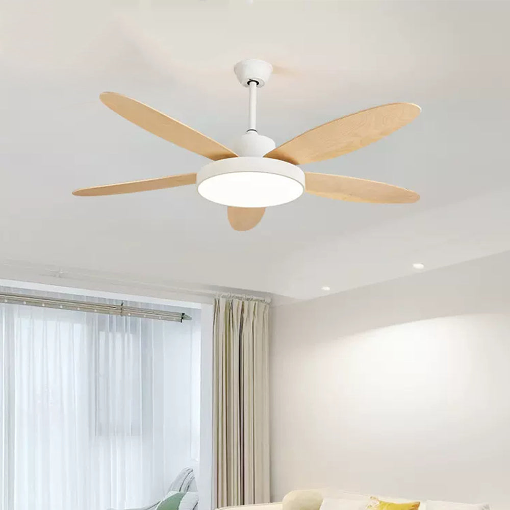 Haydn 5-Blade White & Black  DC Ceiling Fan with Light, Summer, 47.2''/51.2''/55.1''