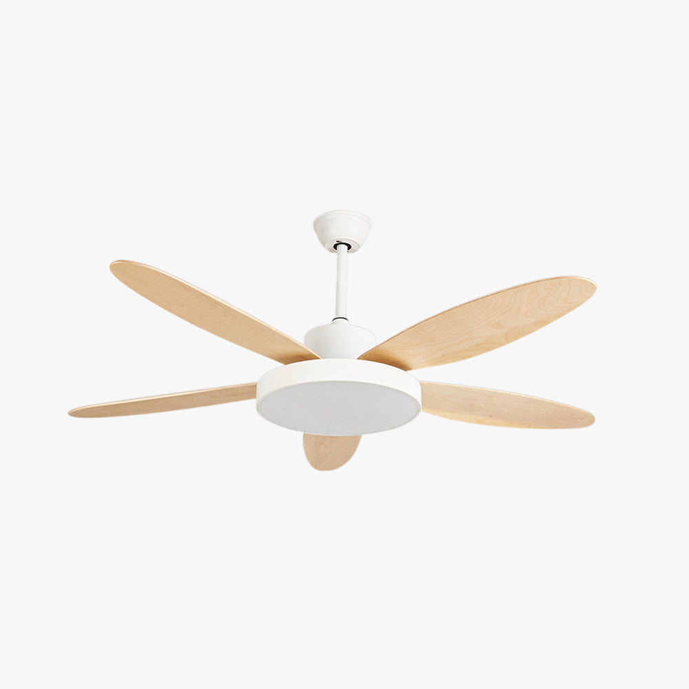 Haydn 5-Blade White & Black  DC Ceiling Fan with Light, Summer, 47.2''/51.2''/55.1''