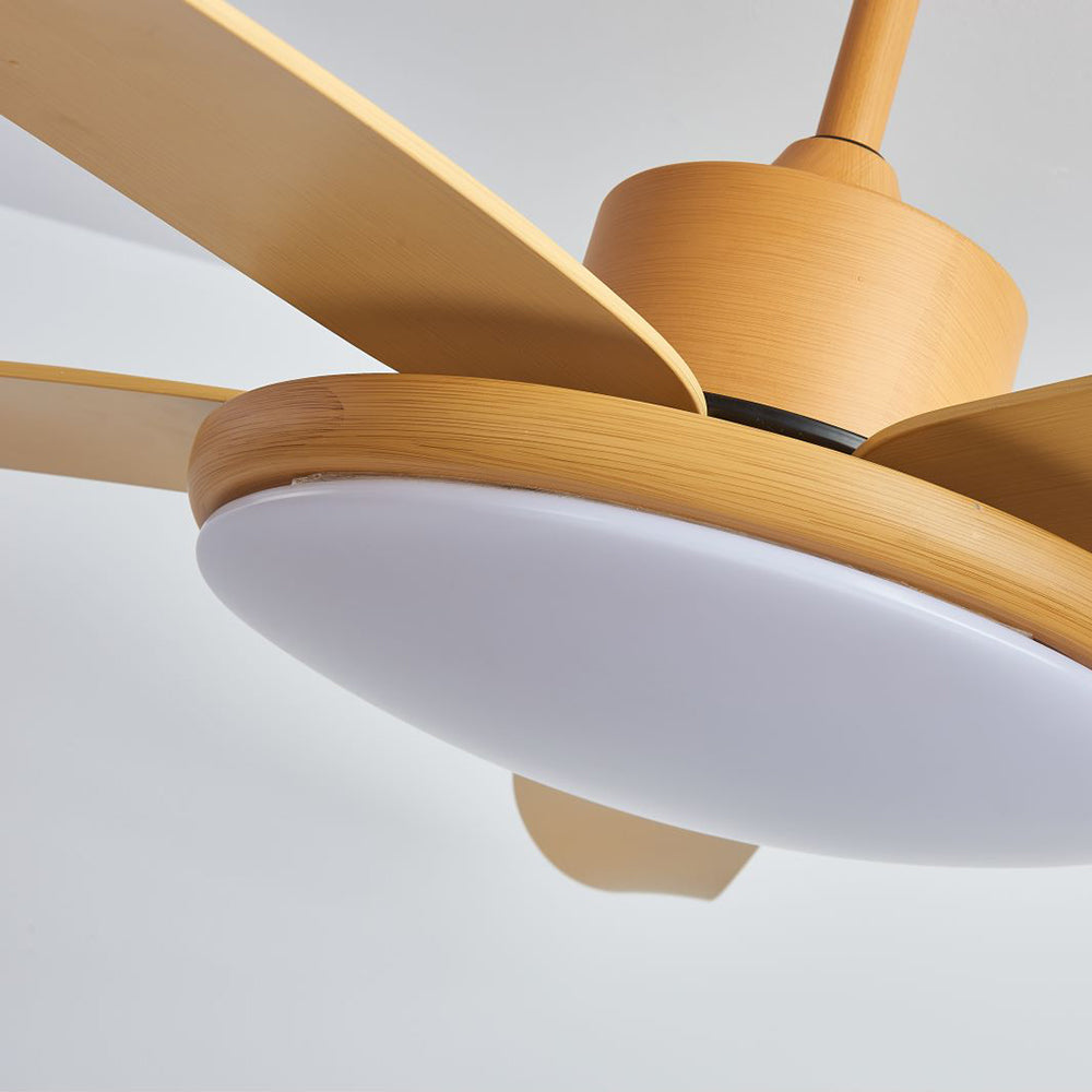 Haydn 5-Blade DC Ceiling Fan with Light, Wood Color, Summer, 40''/47''