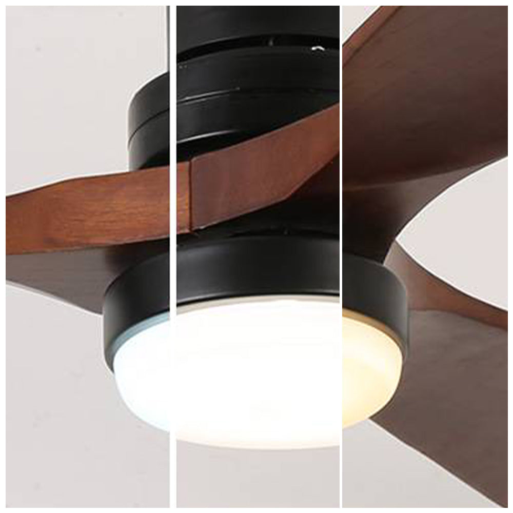 Haydn 3-Blade Black & Red Ceiling Fans, DIA 52''