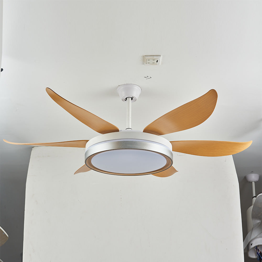 Haydn 6-Blade DC Fan with Light, Silver & Gold, Metal & Acrylic & ABS, Bedroom