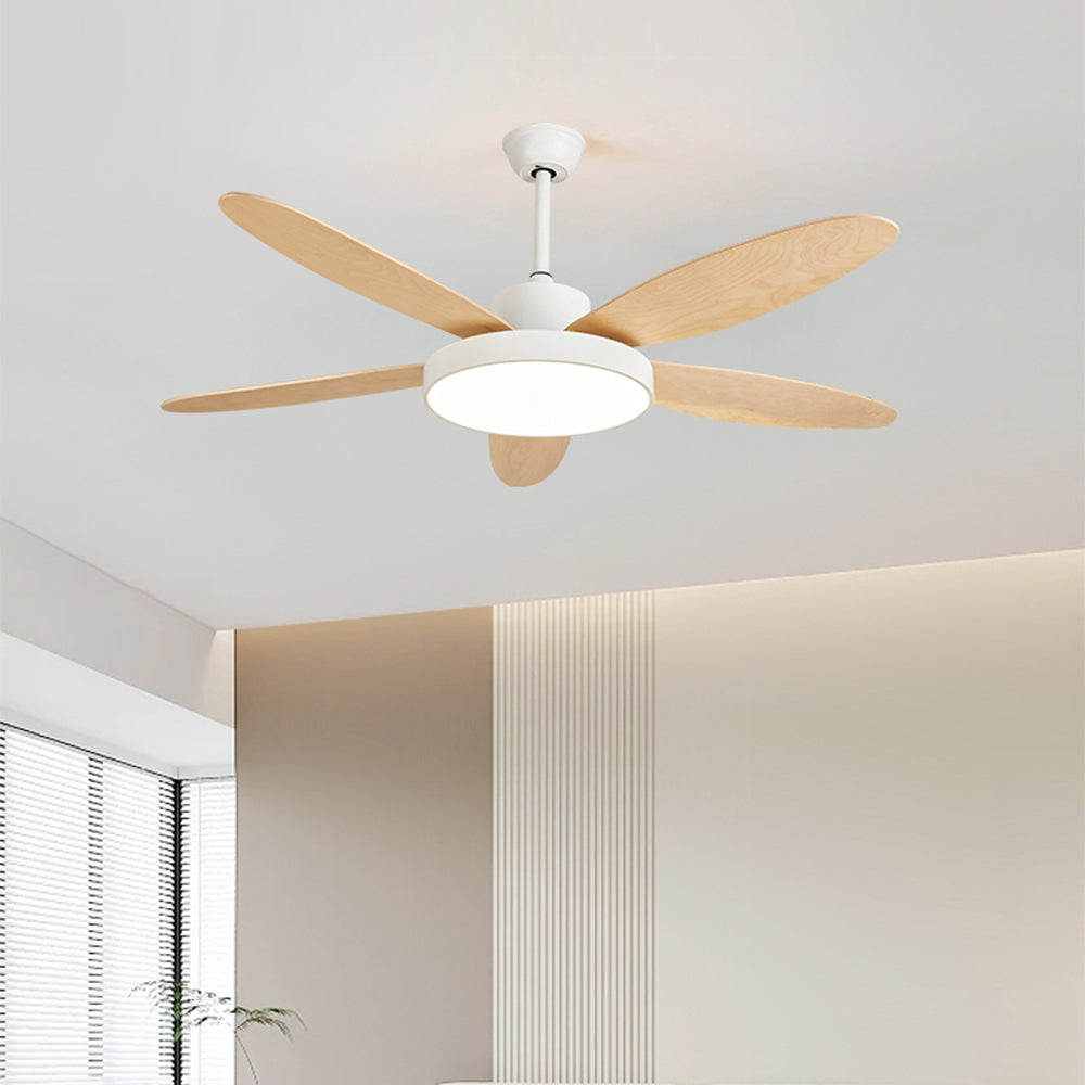 Haydn 5-Blade White & Black  DC Ceiling Fan with Light, Summer, 47.2''/51.2''/55.1''