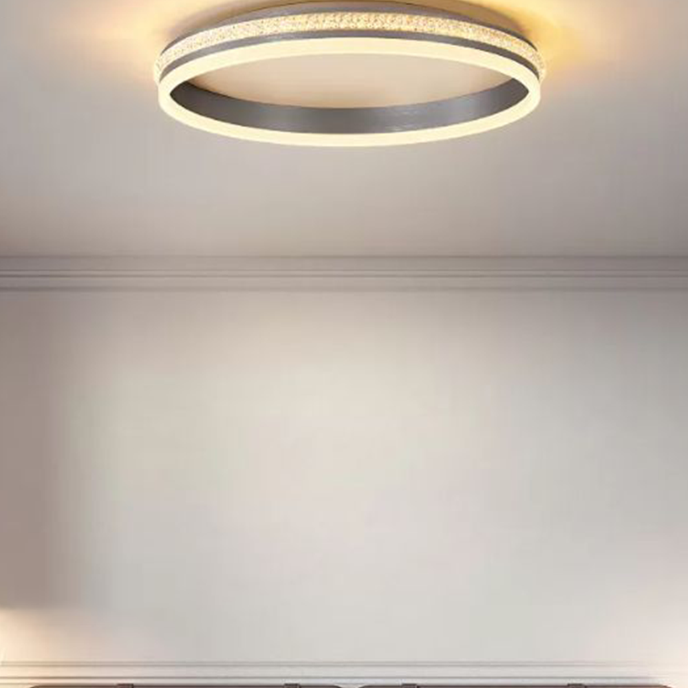 Quinn Modern Ring Metal/Acrylic Flush Mount Ceiling Lights, Silver