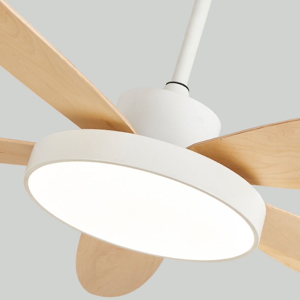 Haydn 5-Blade White & Black  DC Ceiling Fan with Light, Summer, 47.2''/51.2''/55.1''