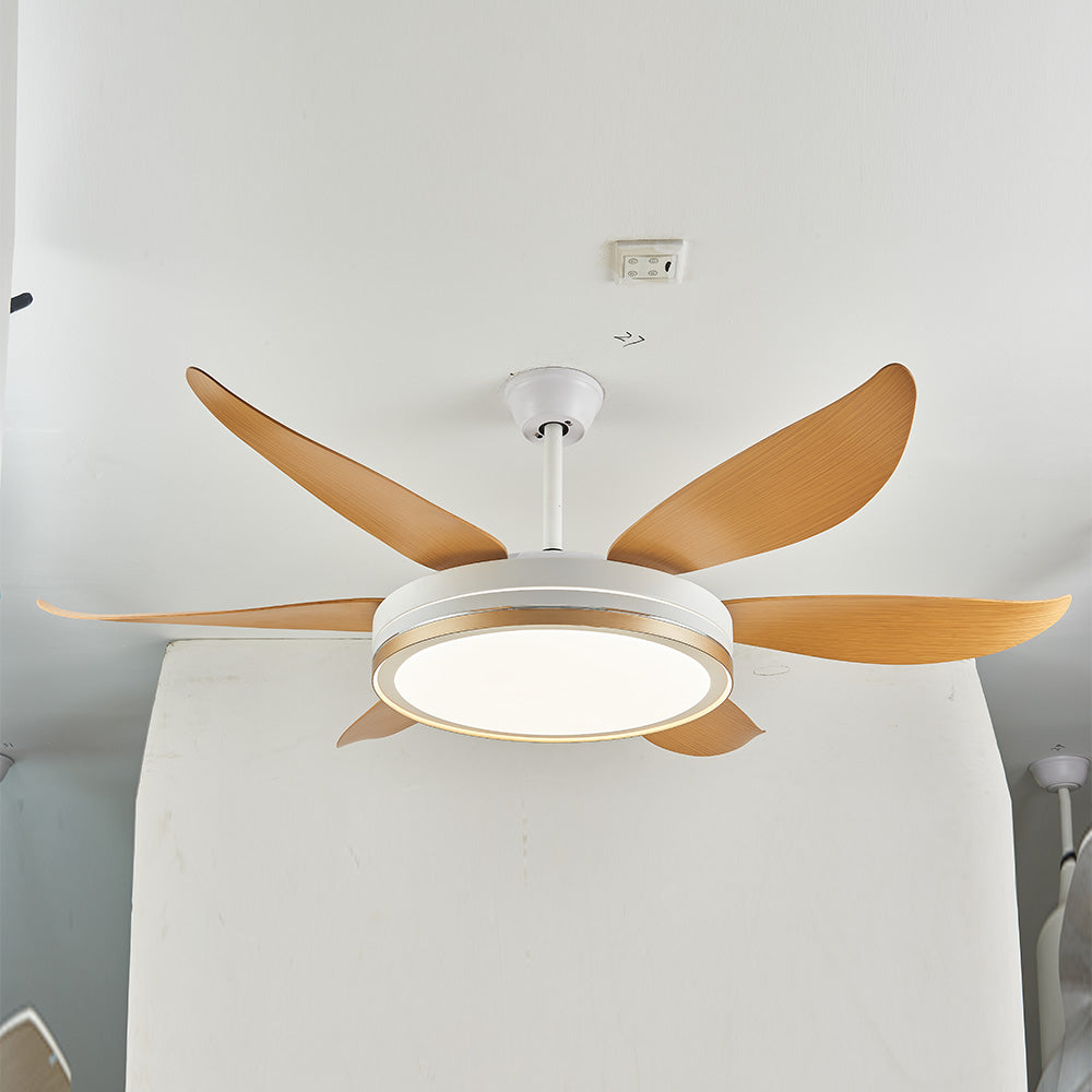 Haydn 6-Blade DC Fan with Light, Silver & Gold, Metal & Acrylic & ABS, Bedroom