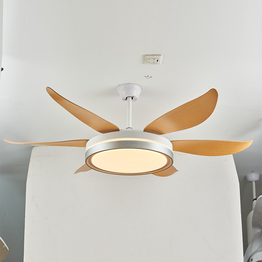 Haydn 6-Blade DC Fan with Light, Silver & Gold, Metal & Acrylic & ABS, Bedroom