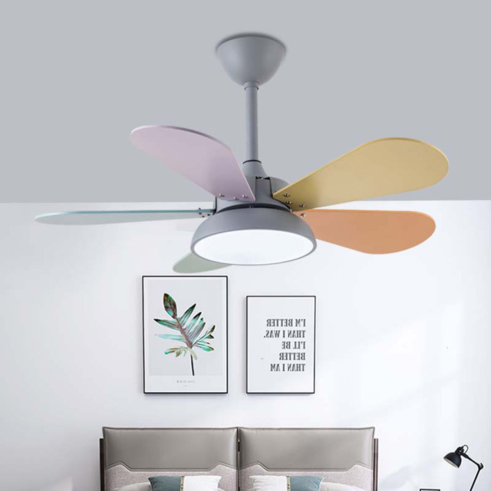 Morandi Colorful DC Ceiling Fan with Light, Grey & White, 5-Blade, for Summer