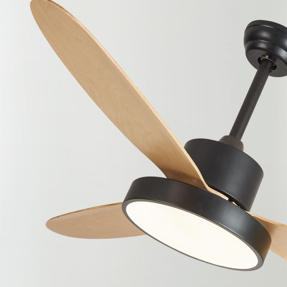 Haydn 5-Blade White & Black  DC Ceiling Fan with Light, Summer, 47.2''/51.2''/55.1''