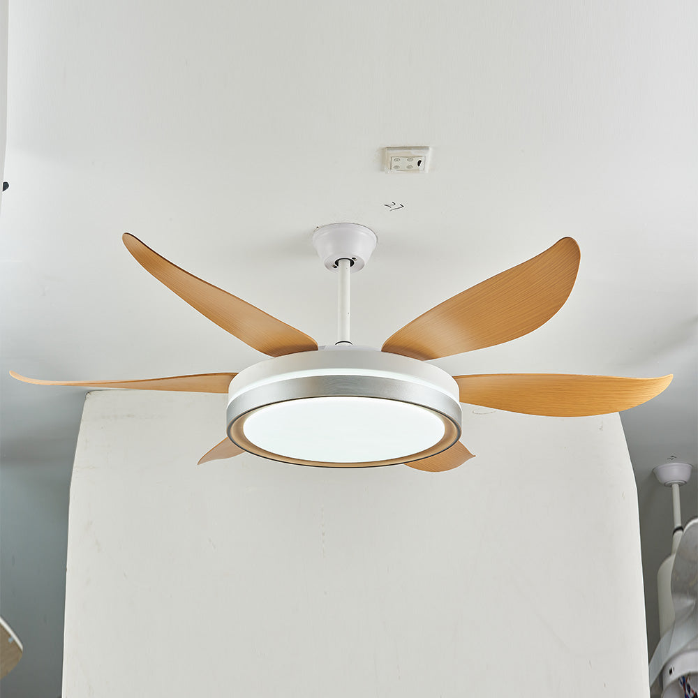 Haydn 6-Blade DC Fan with Light, Silver & Gold, Metal & Acrylic & ABS, Bedroom