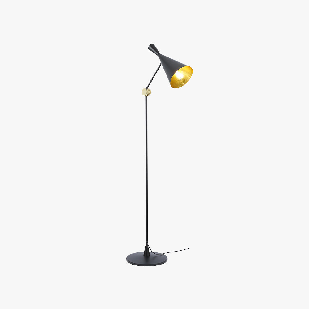 Carins Modern Minimalist Metal Tall Standing Floor Lamp, Black/Gold