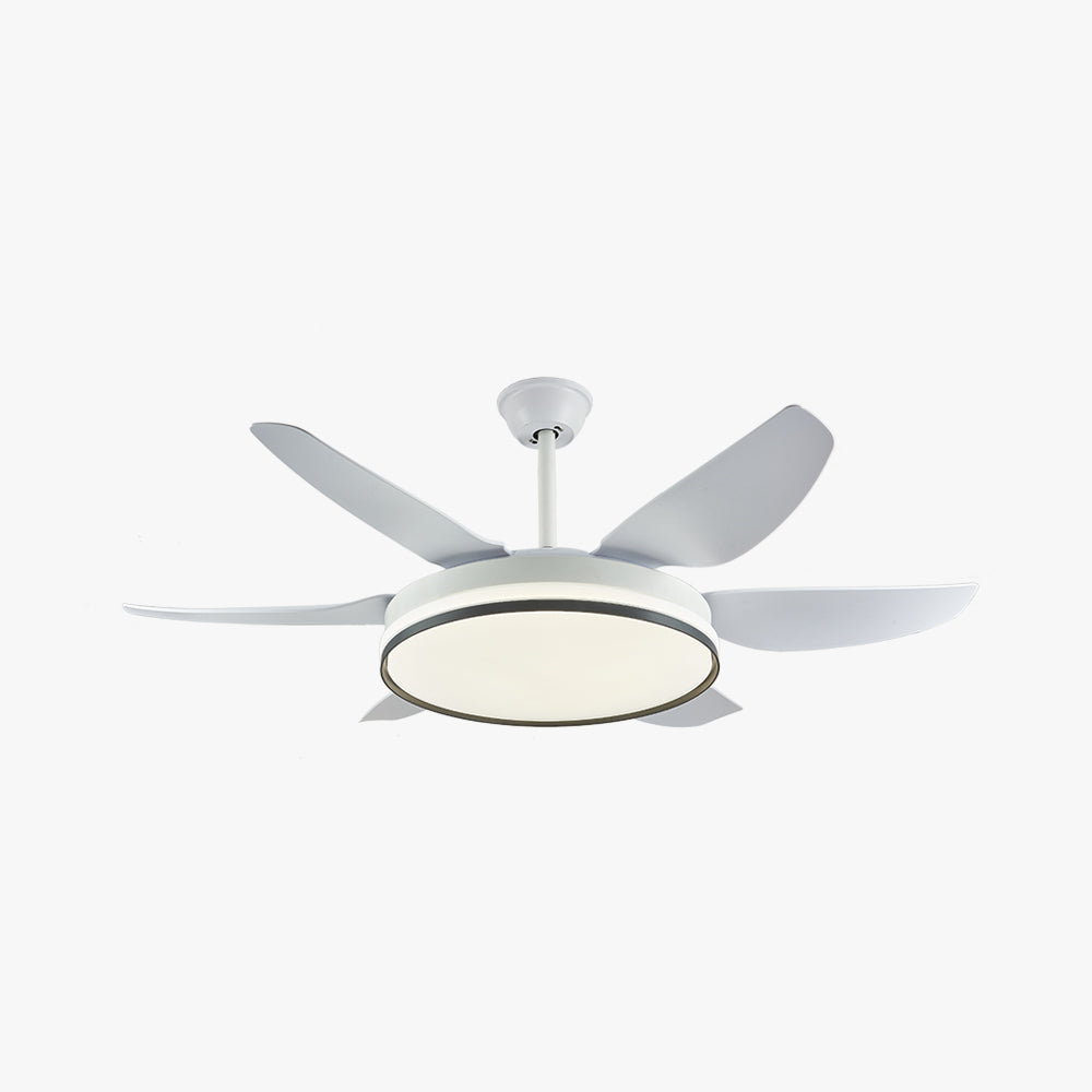 Haydn 6-Blade DC Ceiling Fan with Light, Black & White, 51''
