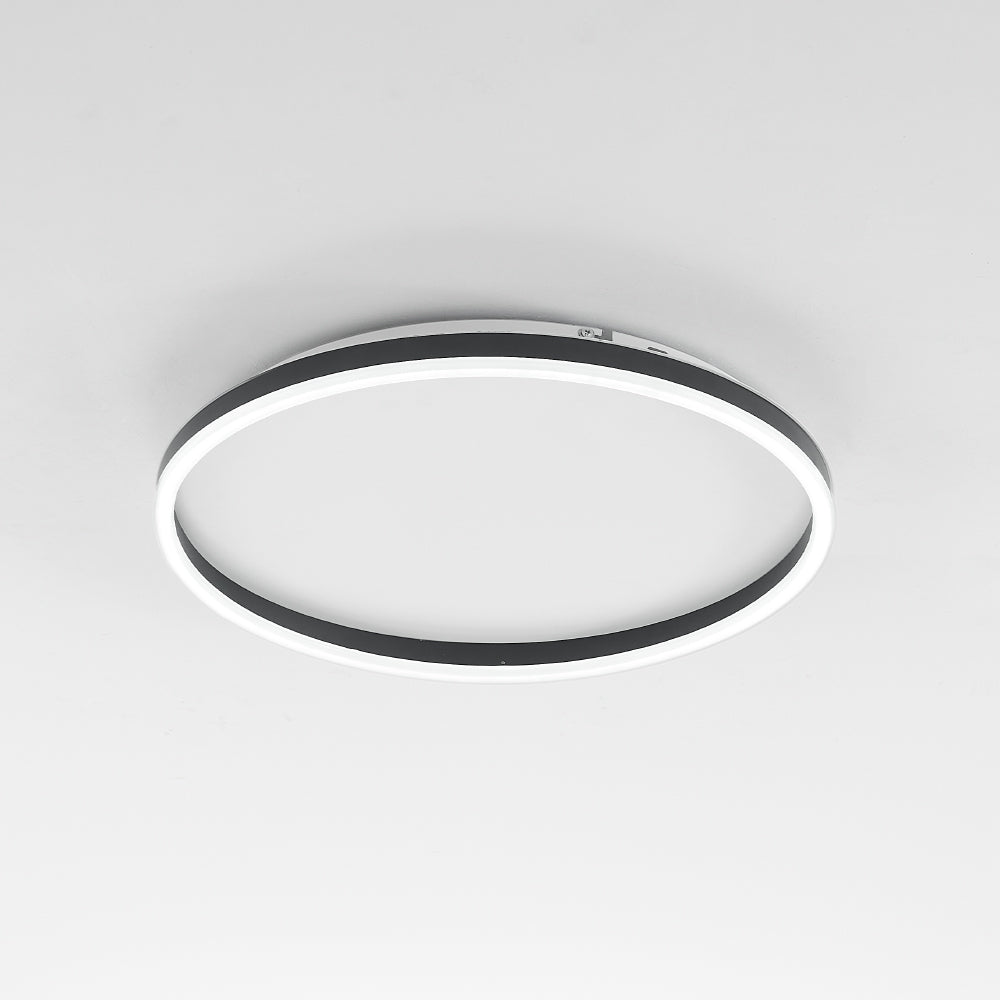 Arisha Mordern Flush Mount Ceiling Light Ring, Black/White, Metal