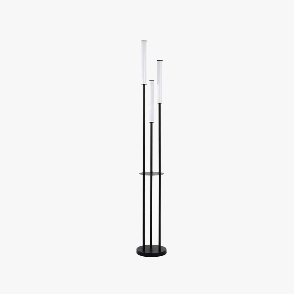 Eryn Modern 3 head Black Metal Arcylic Floor Lamp