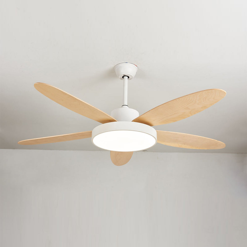 Haydn 5-Blade White & Black  DC Ceiling Fan with Light, Summer, 47.2''/51.2''/55.1''